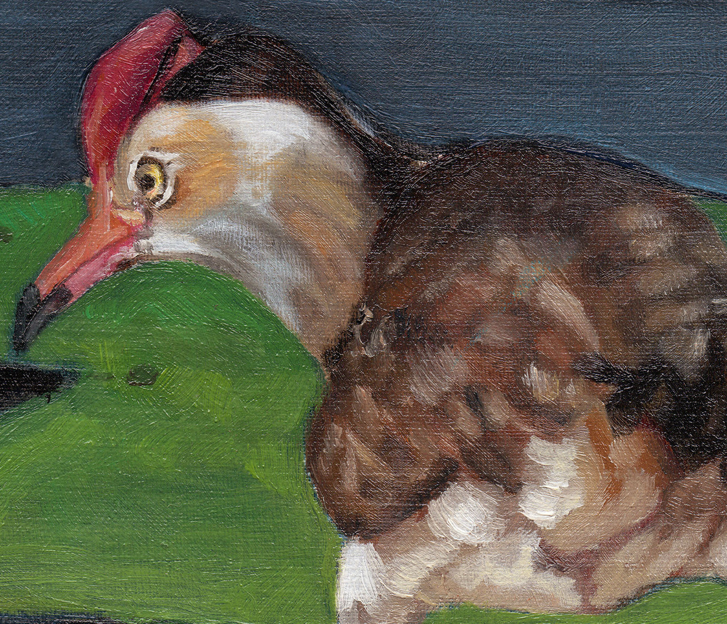 Comb Crested Jacana
