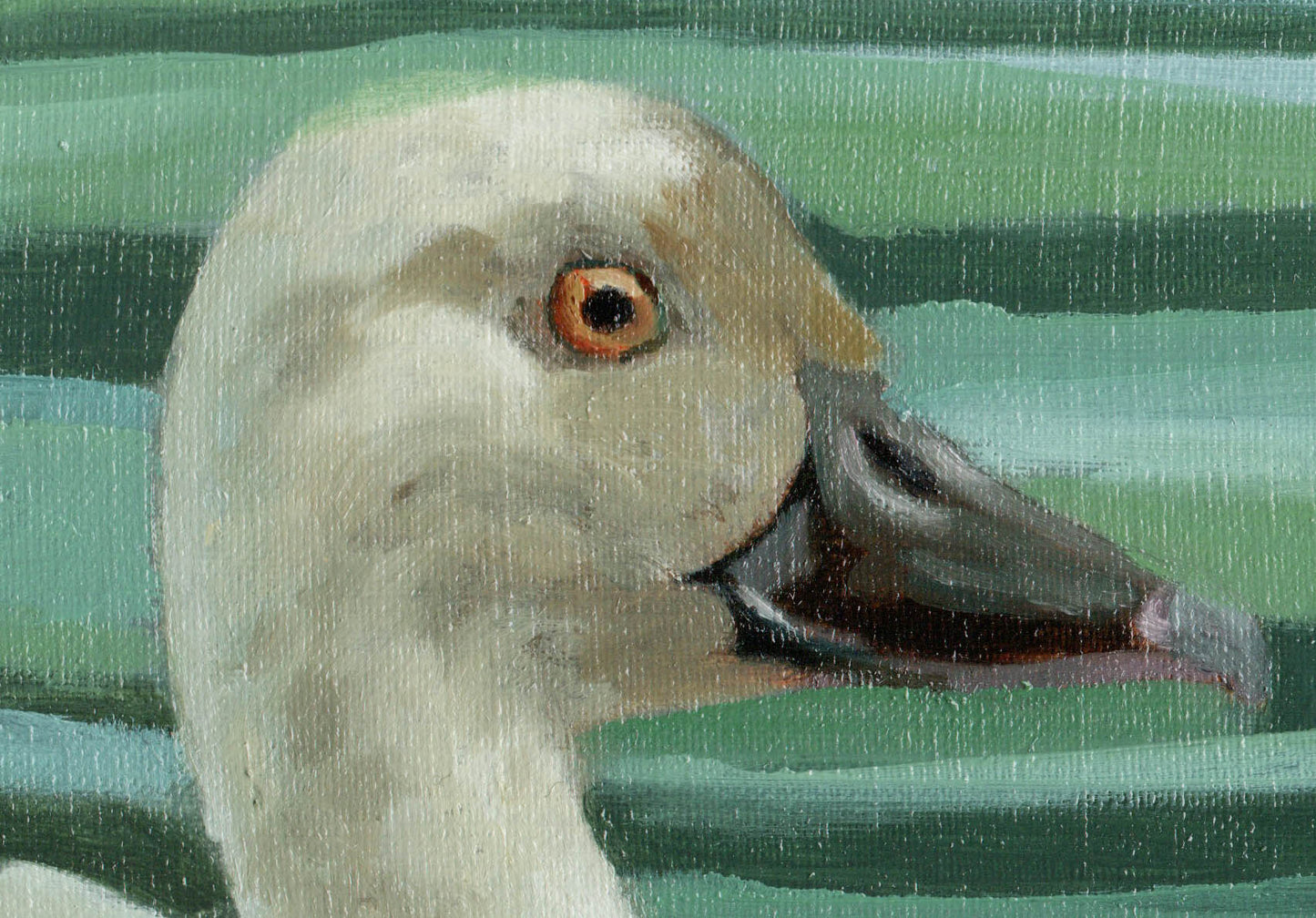 Plumbed Whistling Duck - Leucistic
