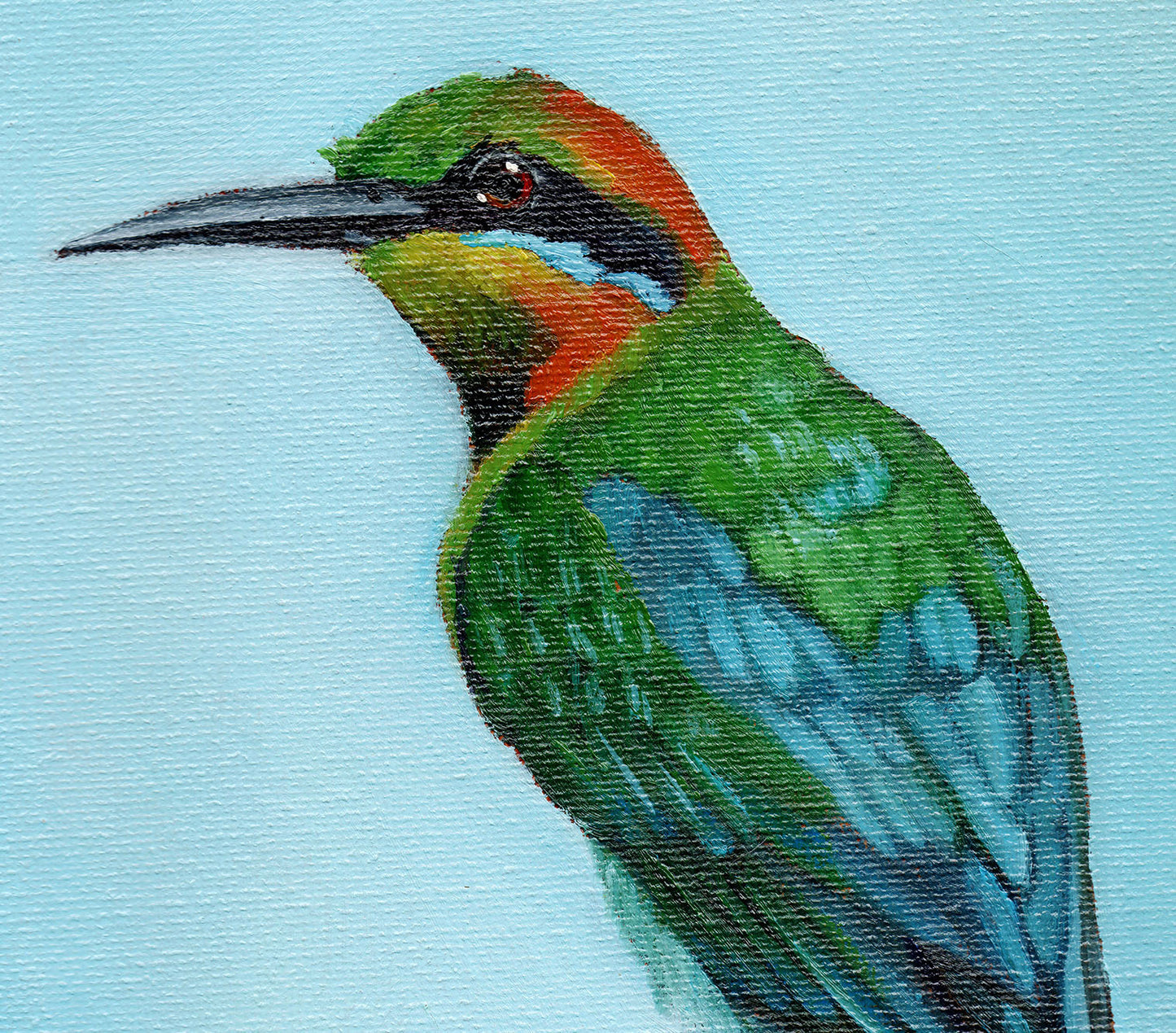 Rainbow Bee Eater