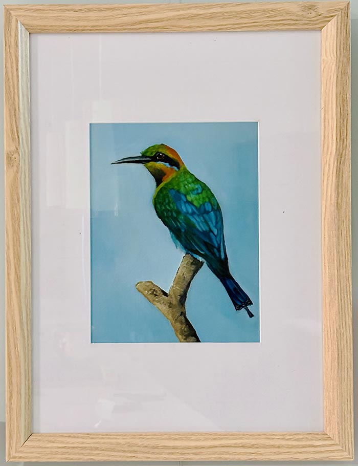 Rainbow Bee Eater